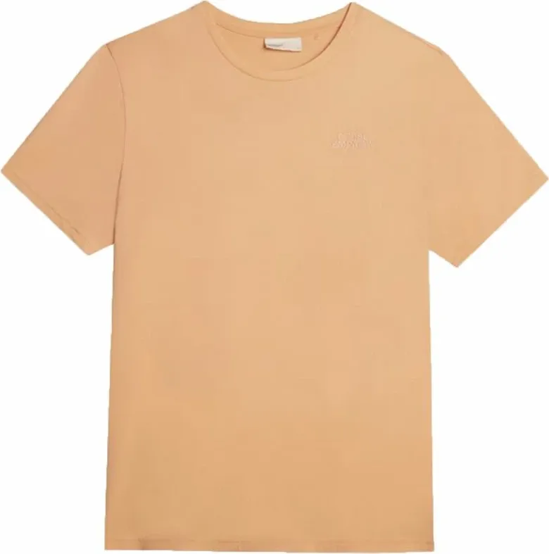 Pamja 1