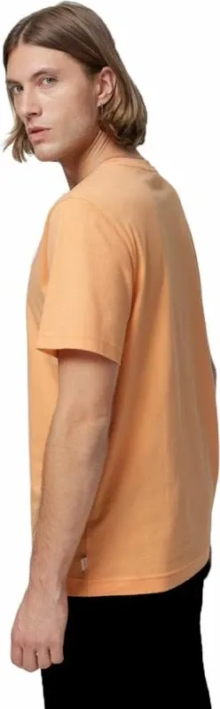 Pamja 2
