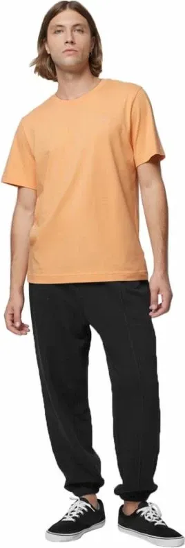 Pamja 4