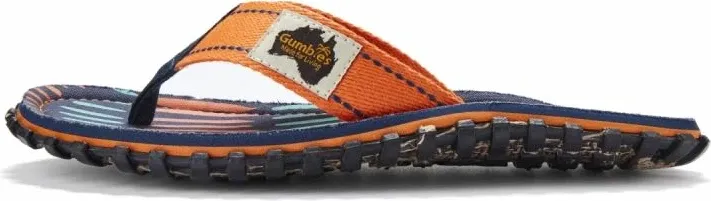 Pamja 6