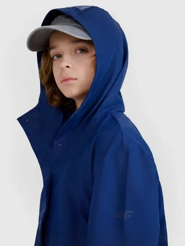 Pamja 3