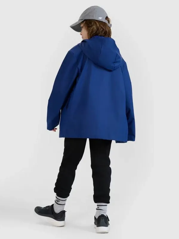 Pamja 6