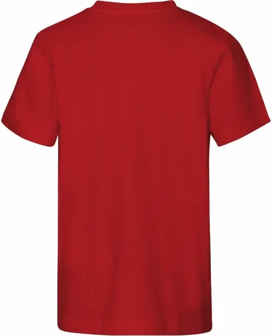 Pamja 4