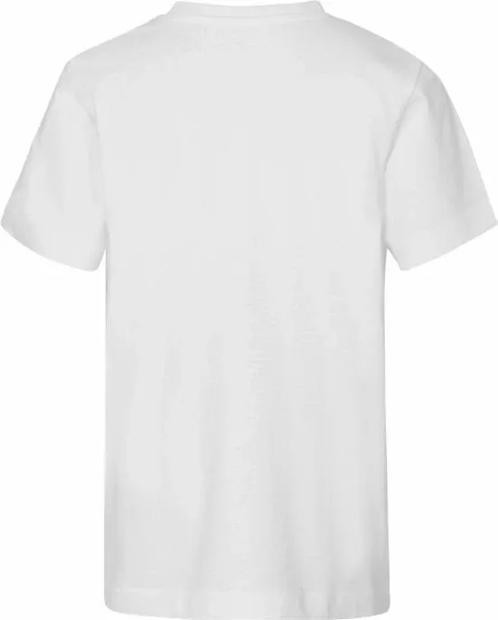 Pamja 4
