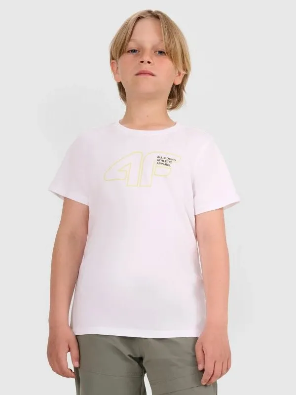 Pamja 12