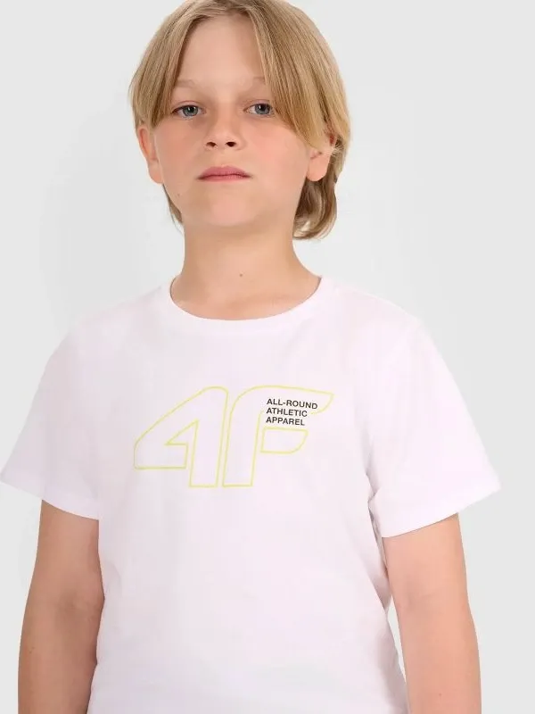 Pamja 8