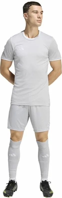 Pamja 4