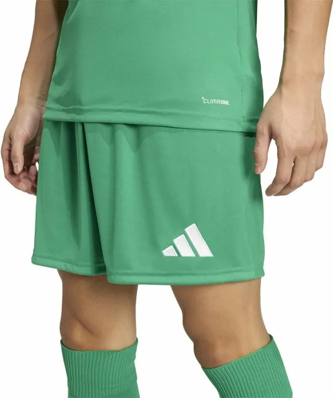 Pamja 4