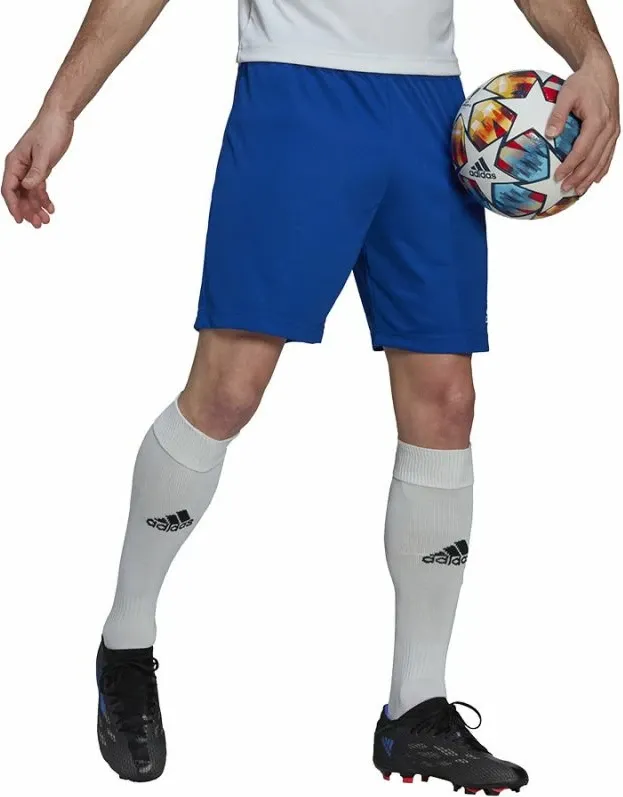 Pamja 4