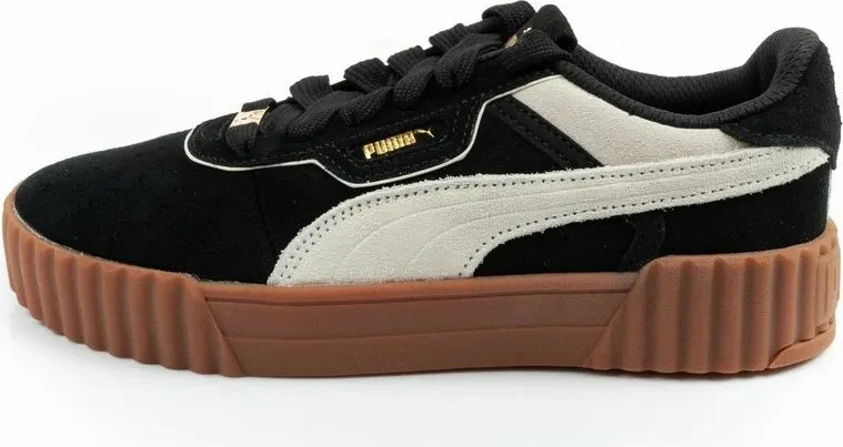 Pamja 2