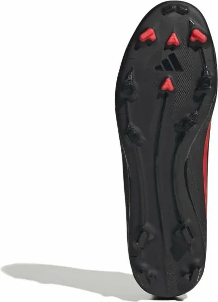 Pamja 6