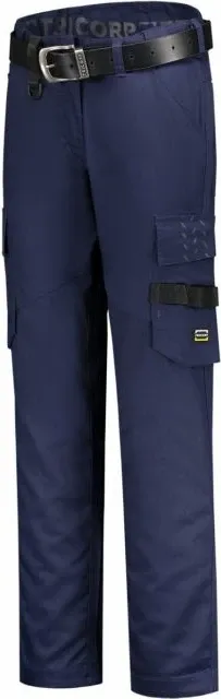 Pamja 1