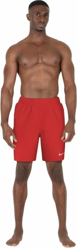 Pamja 4