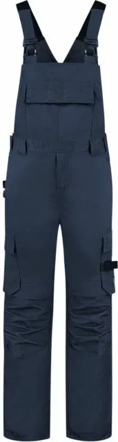 Pamja 5