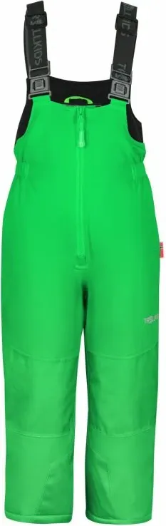 Pamja 1
