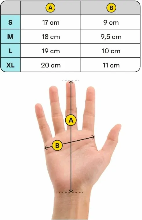 Pamja 6