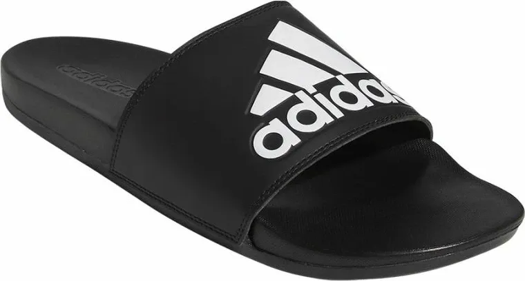 Pamja 1