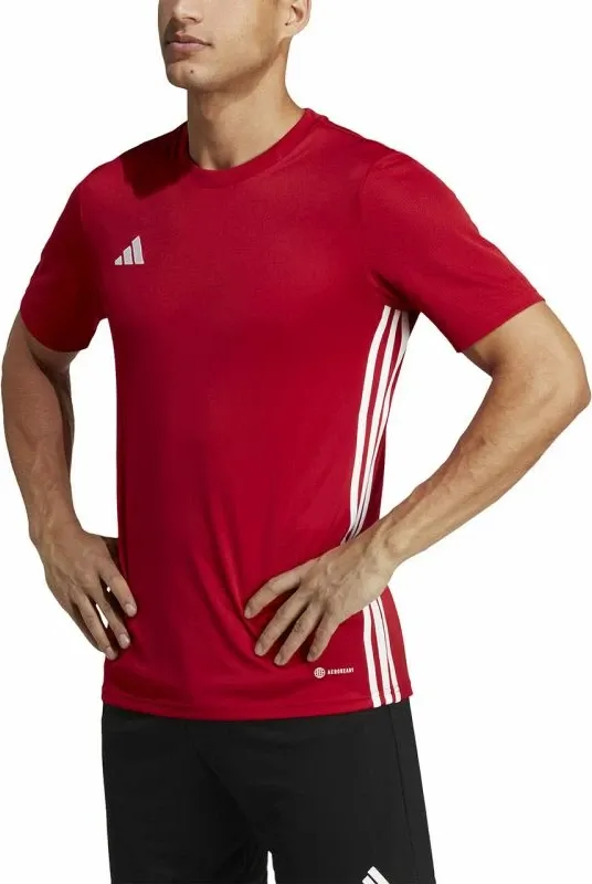 Pamja 8