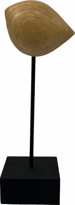 Bluzë termoaktive për meshkuj Craft [Madhësia: XL]