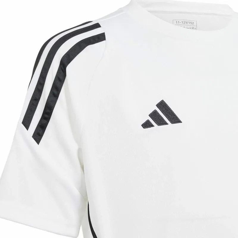Pamja 5