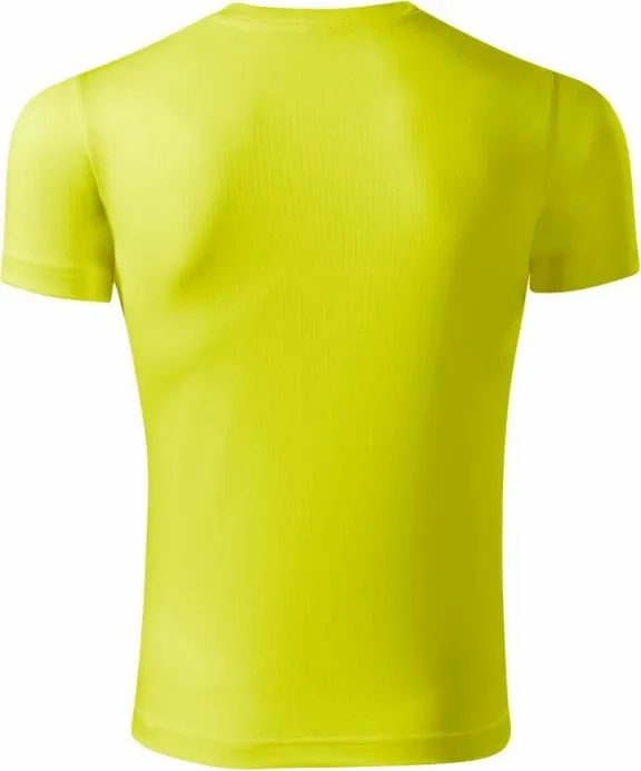 Pamja 2