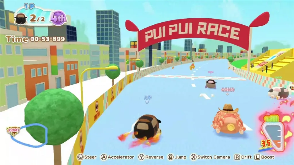 Pamja 10