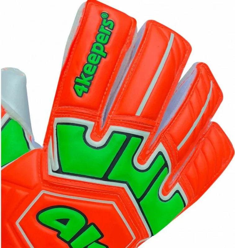 Pamja 4