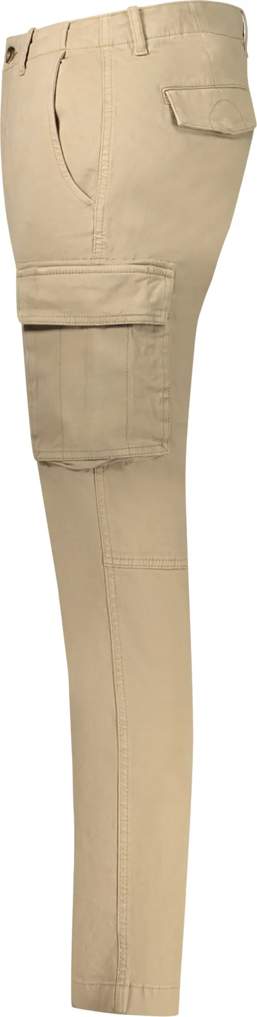 Pamja 3