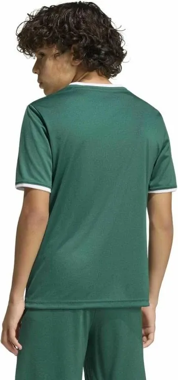 Pamja 3