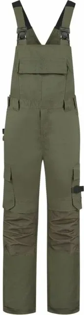 Pamja 5