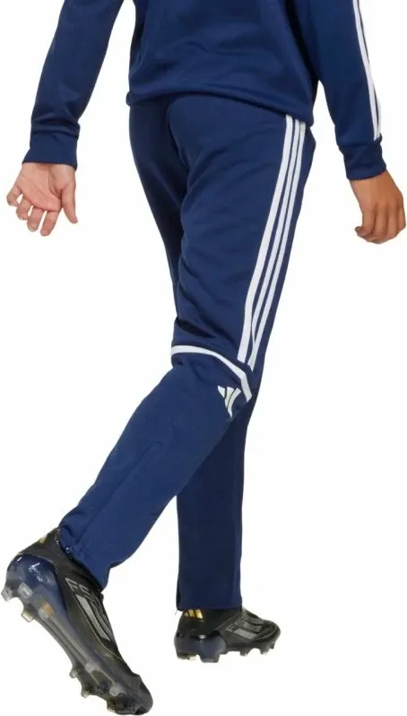 Pamja 3
