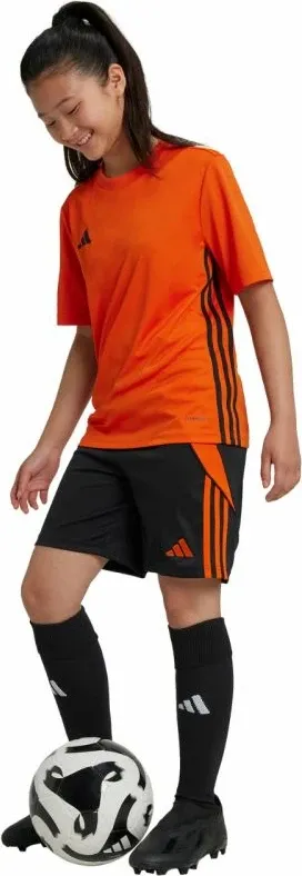 Pamja 5