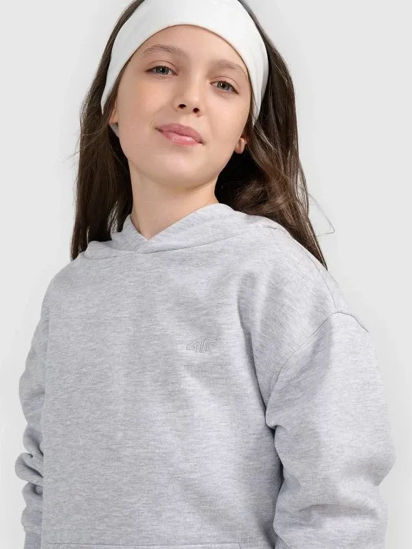 Pamja 4