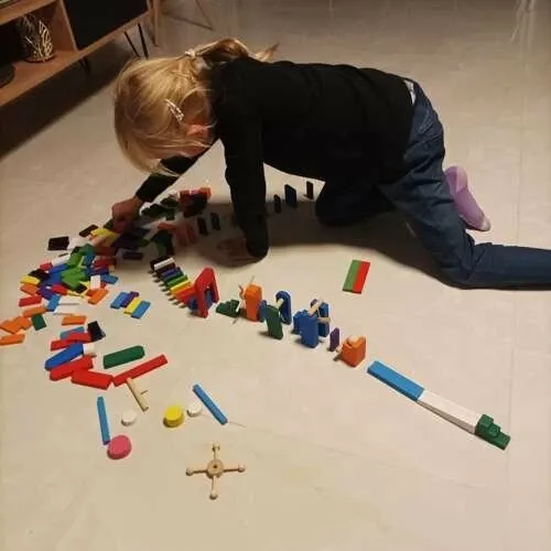 Pamja 9