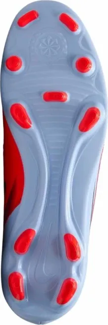 Pamja 12