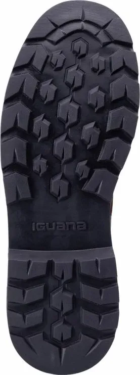 Pamja 3