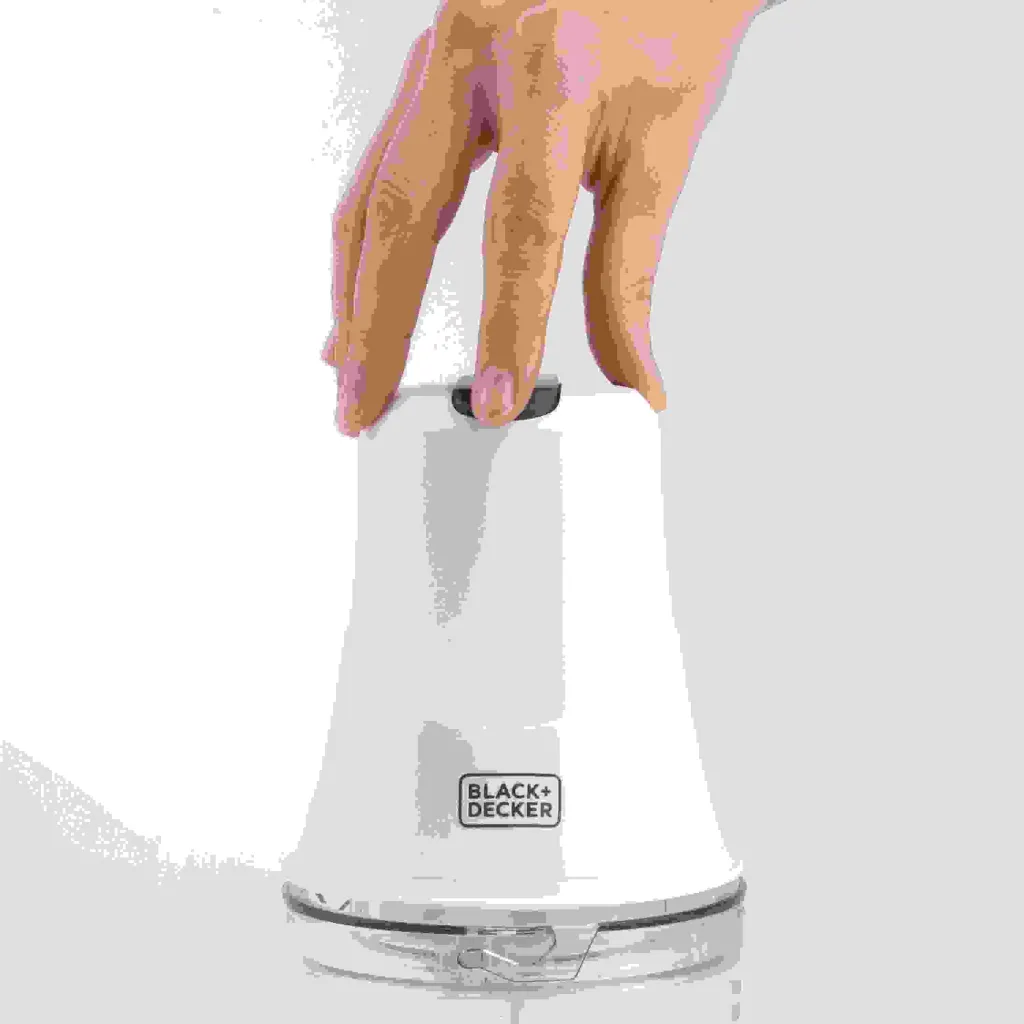 Pamja 1