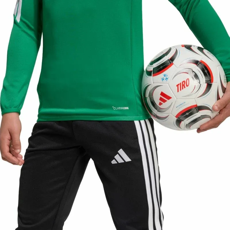 Pamja 6