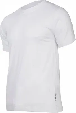Pamja 1