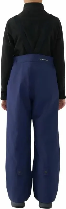 Pamja 2