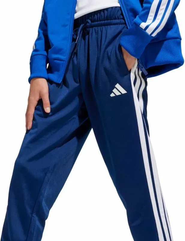 Pamja 4
