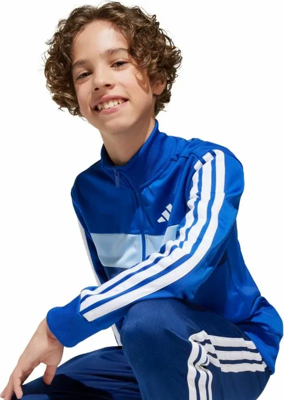 Pamja 5