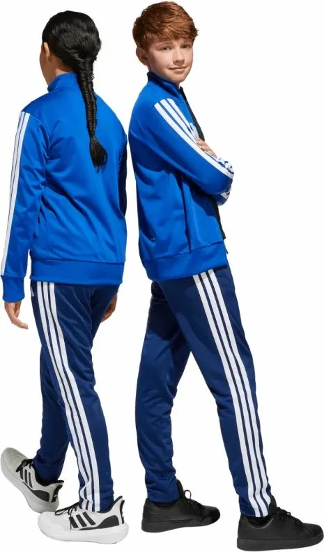 Pamja 6