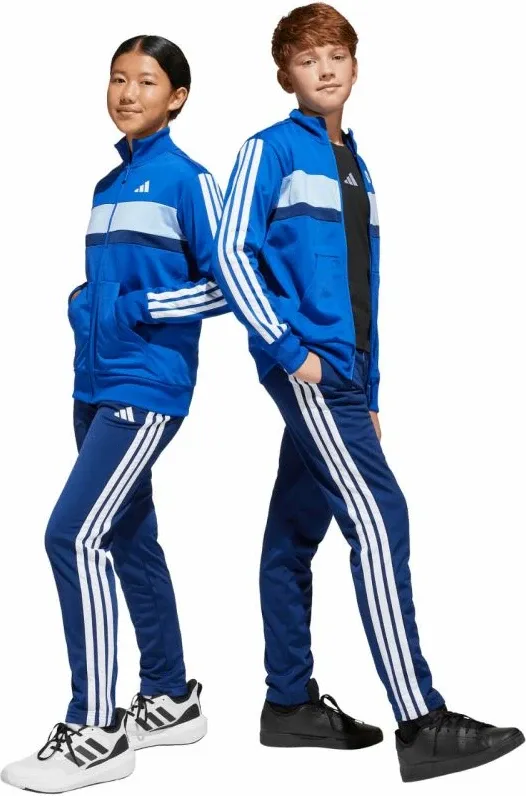 Pamja 7