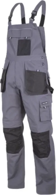 Pamja 1