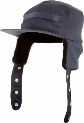 Pamja 1