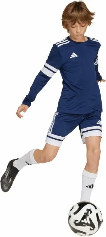 Pamja 8