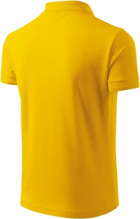 Pamja 4