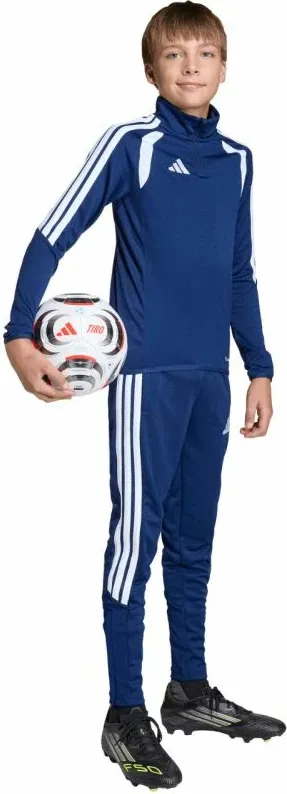 Pamja 8