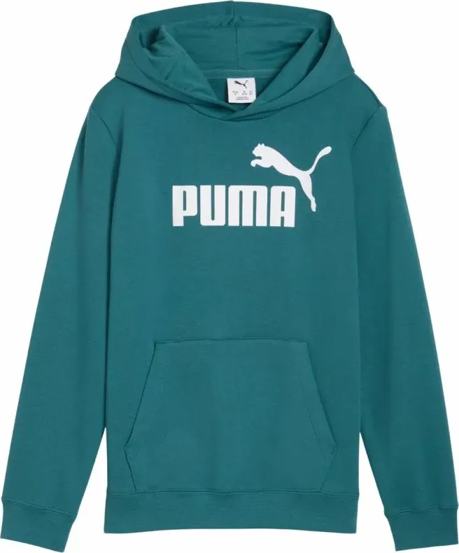 Pamja 1